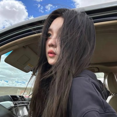 副总统